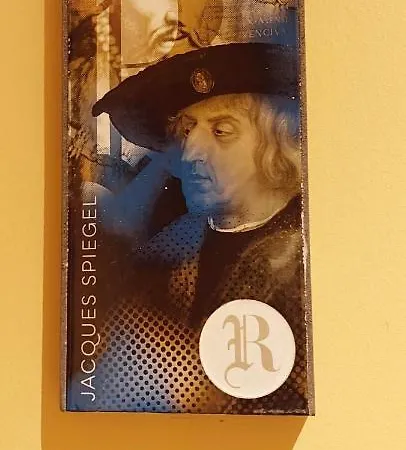 Jacques Spiegel - Parking Gratuit - Proche Europa-park - Route Des Vins - Haut-koenigsbourg * 셀레스탓